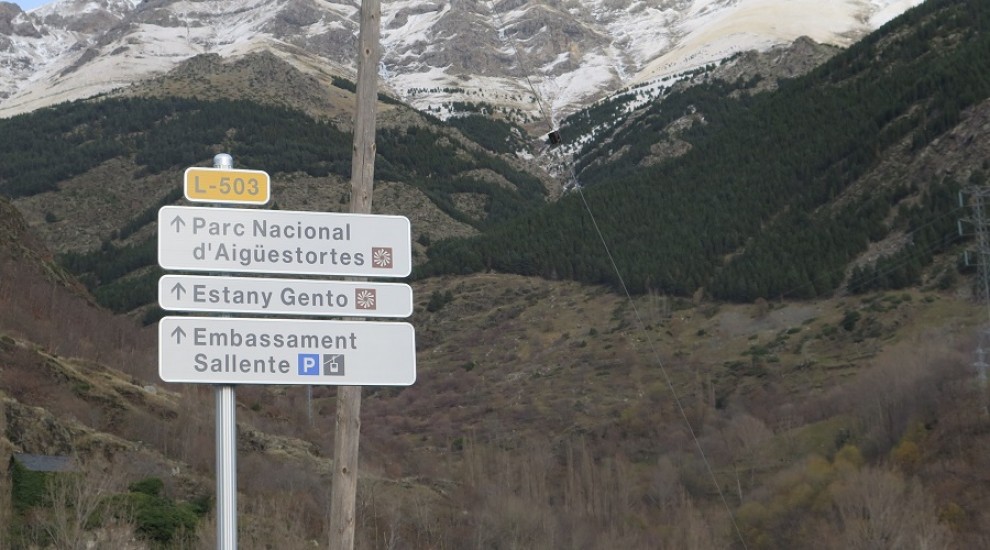 Imatge il·lustrativa