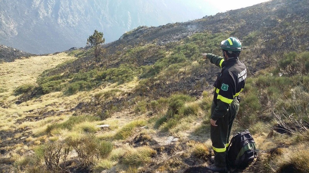 Un Agent Rural intenta buscar indicis sobre les causes de l'incendi