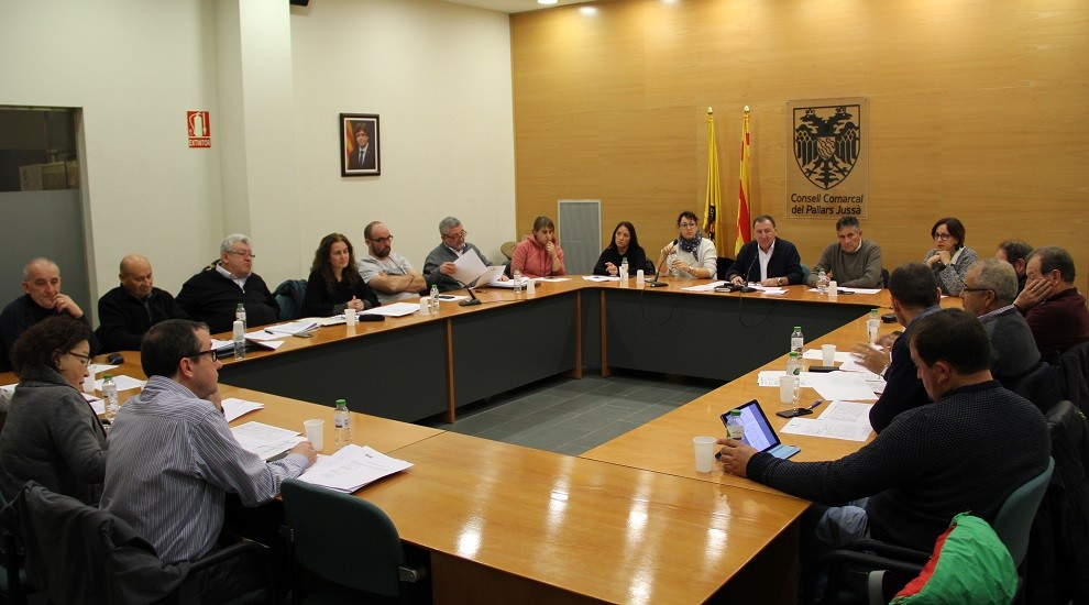 Imatge de la sessió plenària del Consell Comarcal del Pallars Jussà d'aquest dimarts