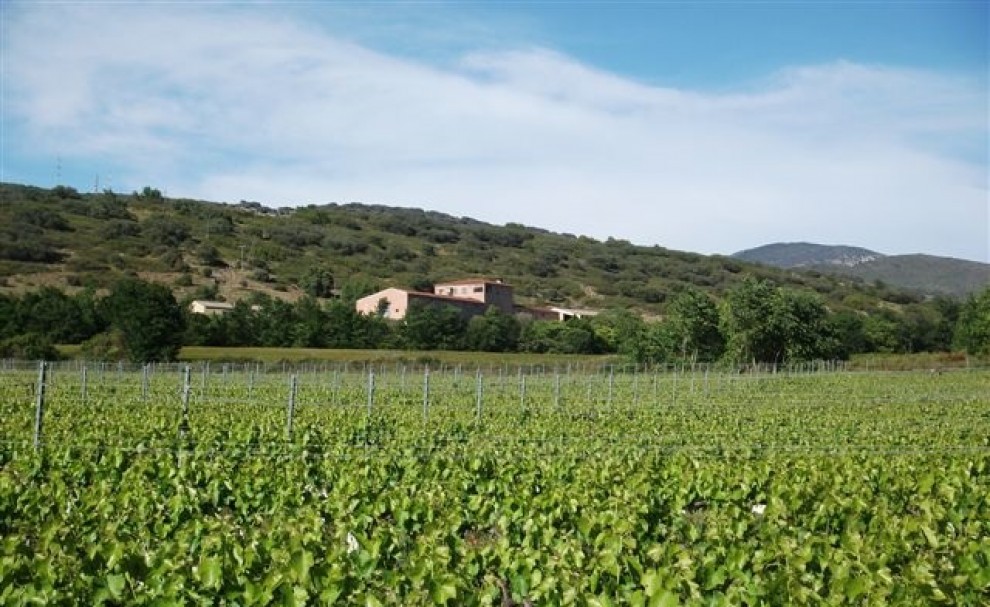 La DO Costers del Segre engloba també els vins fets al Pallars