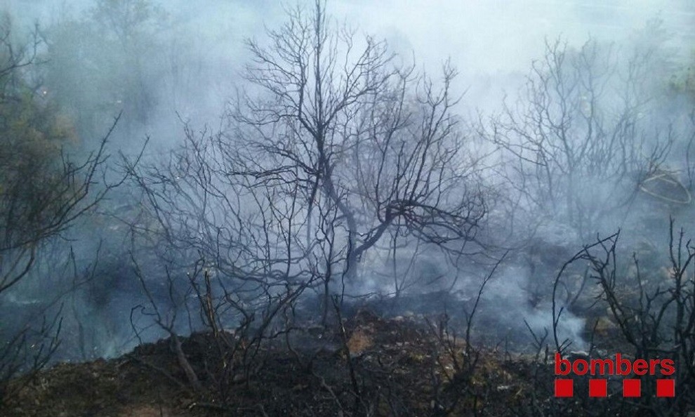 El foc ha calcinat 1.100 metres quadrats de vegetació