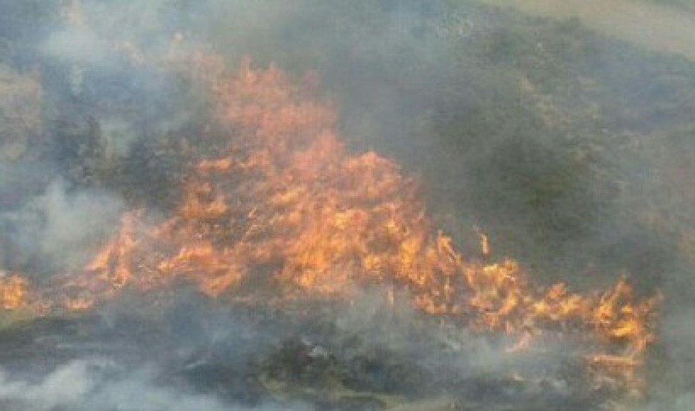 El foc de Sant Martí de Barcedana va cremar 4,5 hectàrees