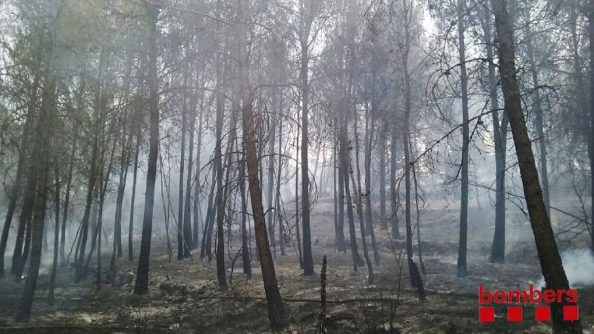 Imatge d’un incendi recent a Catalunya