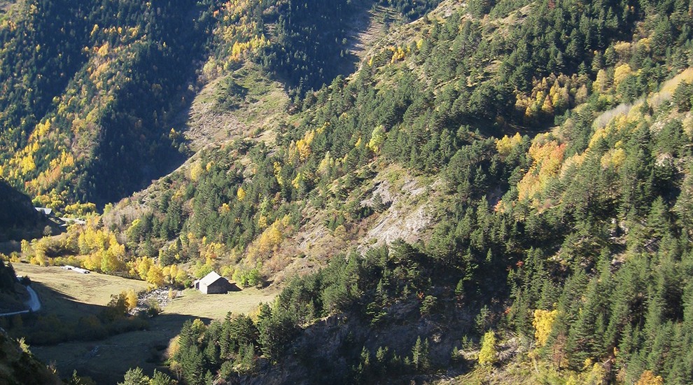 Imatge de la Vall de Bonabé, a l'Alt Àneu