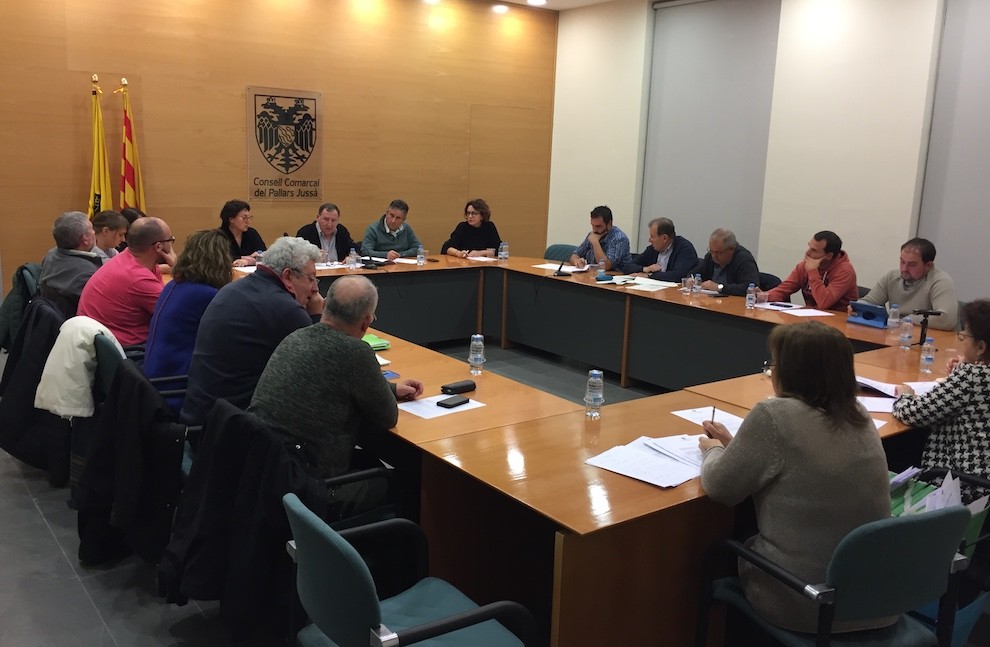 Imatge de la sessió plenària del Consell del Jussà d’aquest dimecres