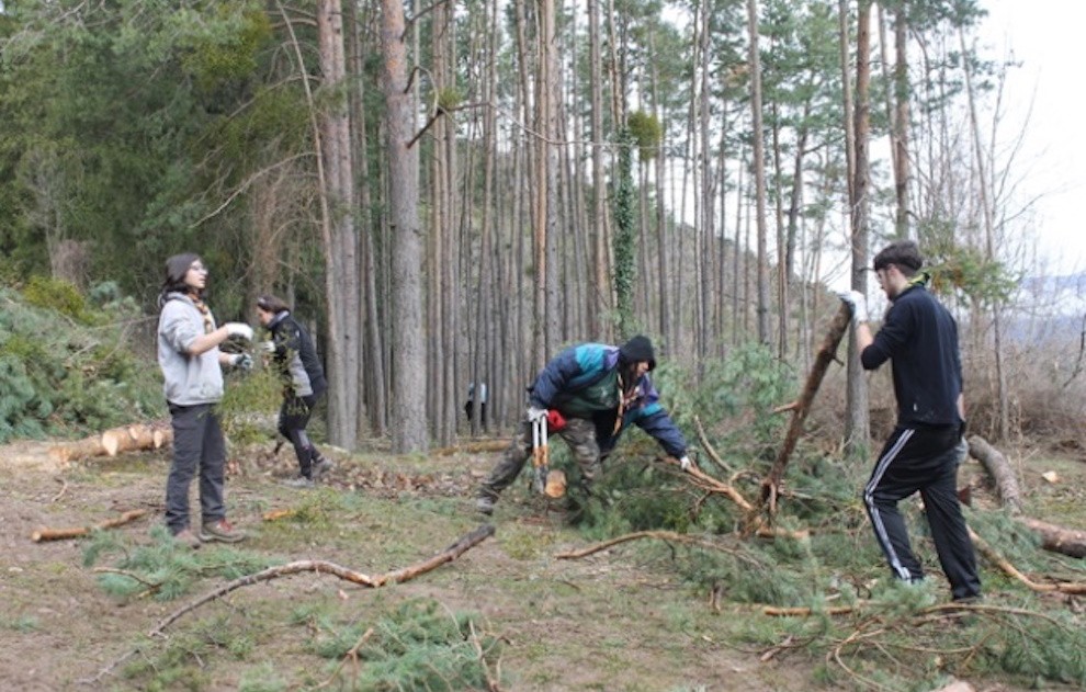 Imatge dels joves duent a terme treballs de tala dels arbres