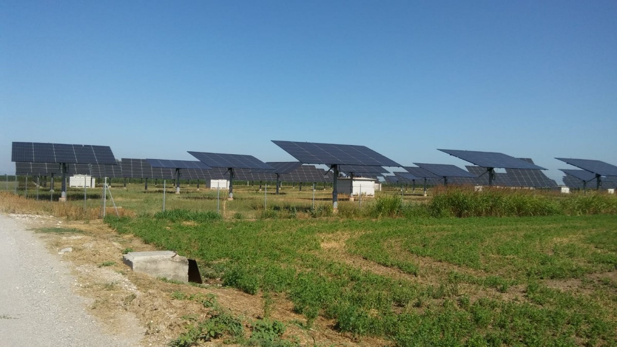 Camps solars a la plana de Lleida