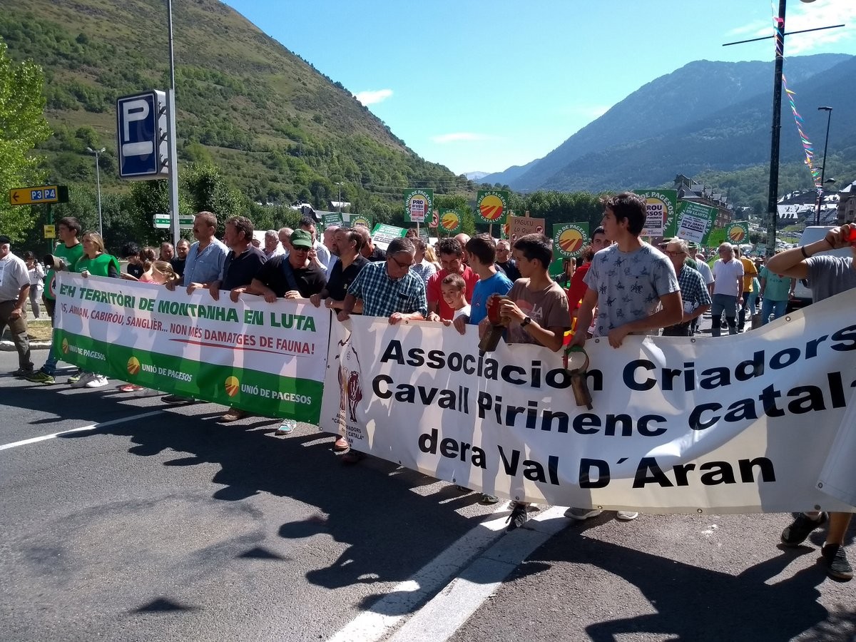 Unió de Pagesos es va manifestar a Vielha contra la gestió de la fauna salvatge