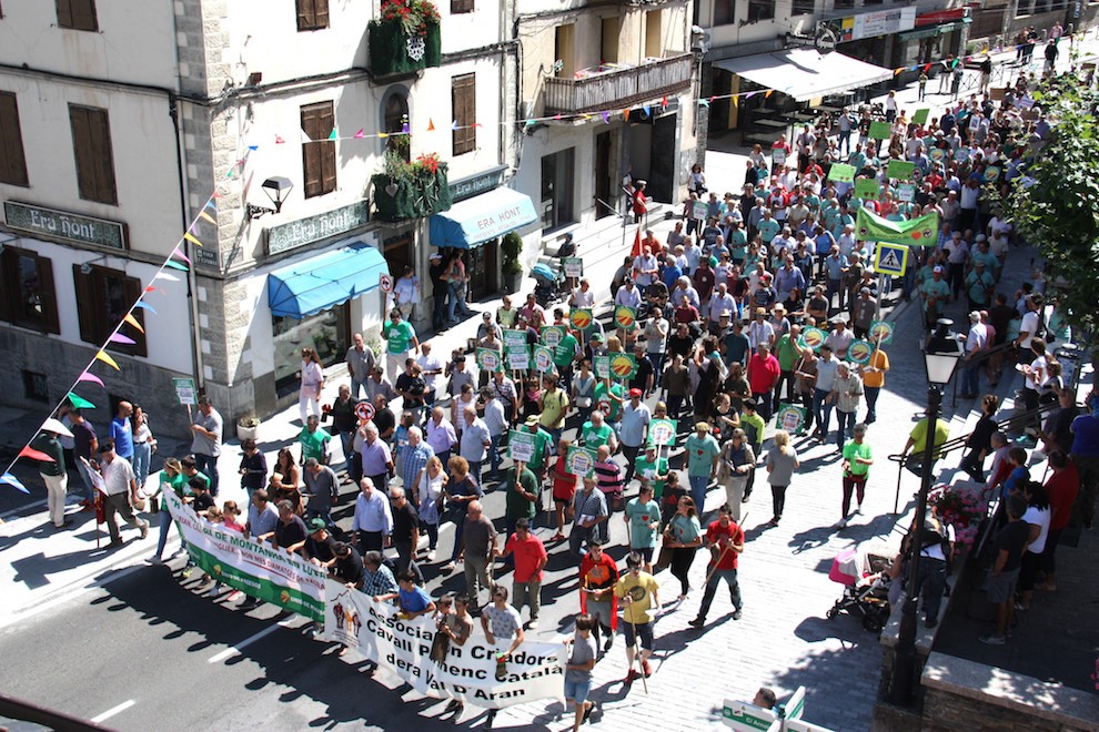 La manifestació ha reunit uns 200 ramaders del Pirineu