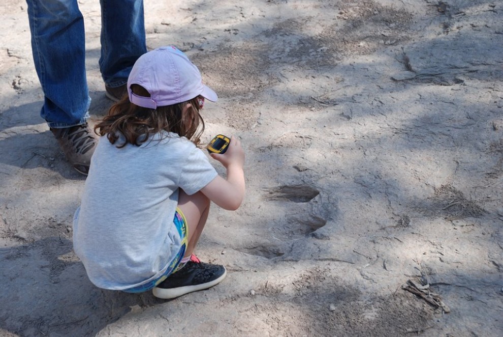 Un infant examinant les petjades al jaciment de Basturs