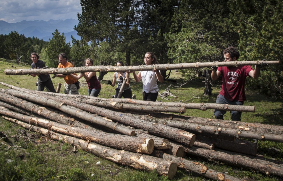 Voluntaris treballant en un bosc català