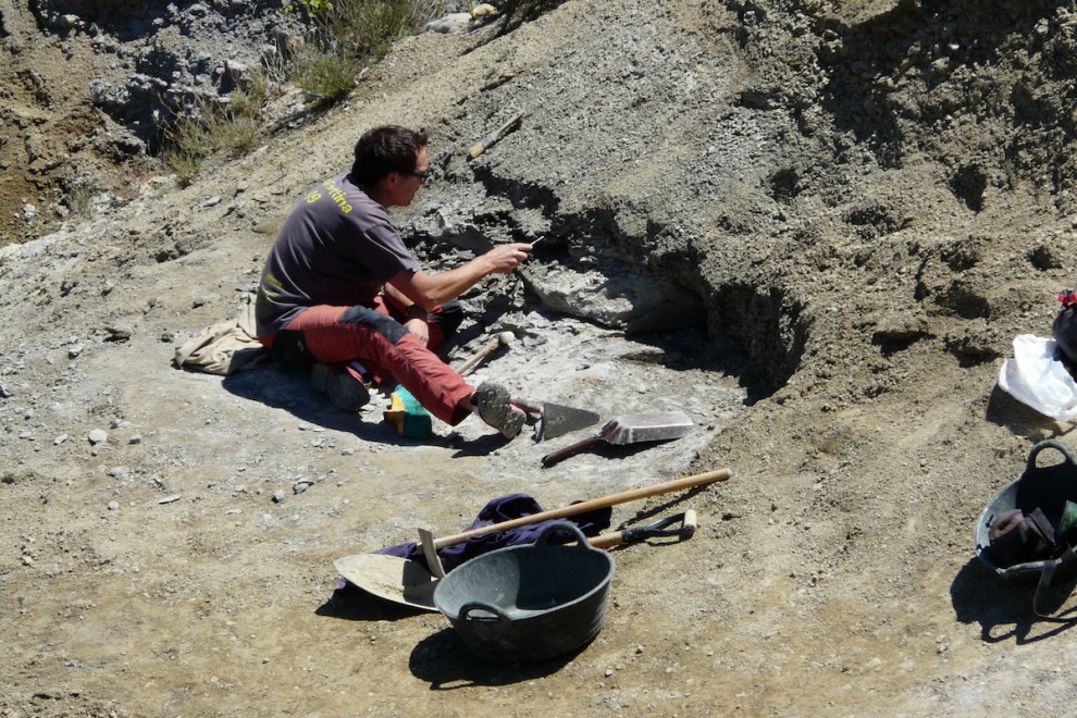 Imatge d'una de les campanyes d'excavació que s'han fet al jaciment del Molí del Baró
