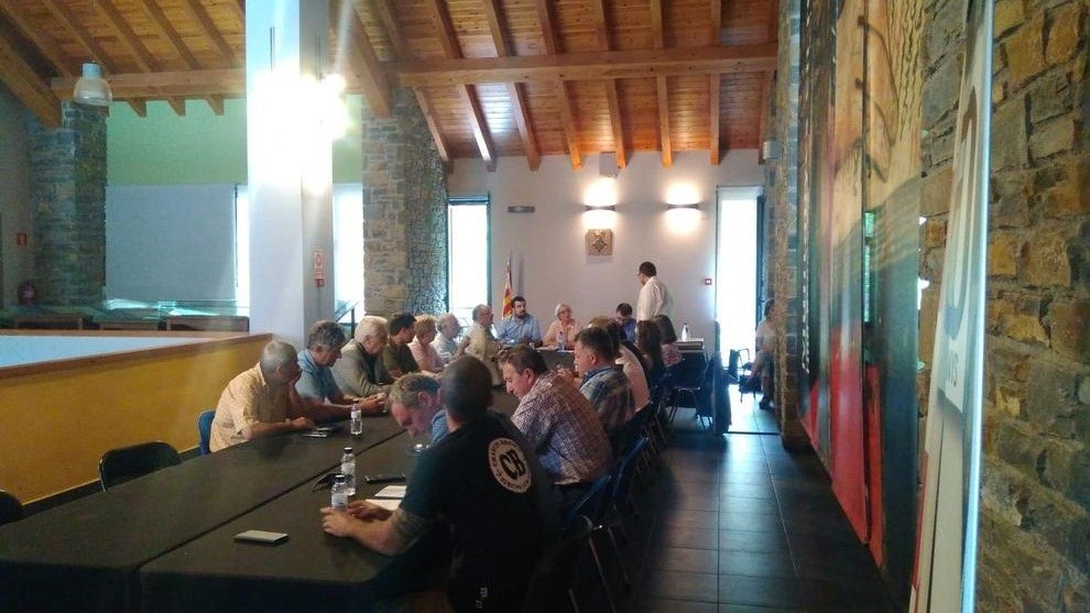Ple de Constitució del Consell Comarcal del Pallars Sobirà.