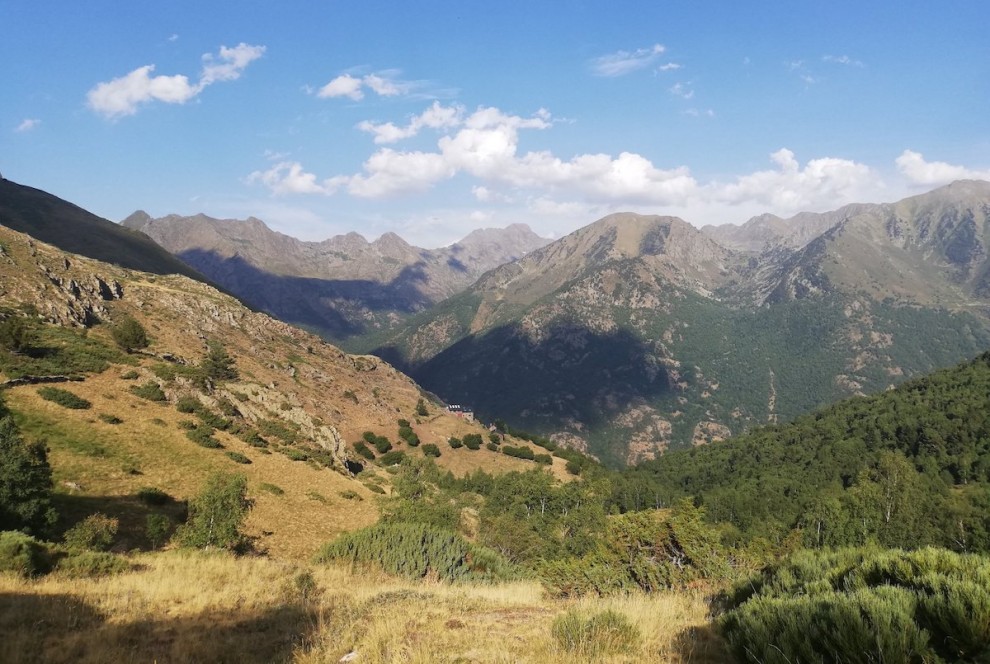 Imatge recent de prats de muntanya afectats per la sequera a les Valls d’Àneu