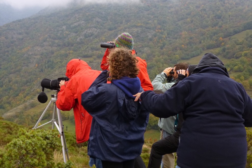 Turistes gaudint de la brama del cérvol al Pallars Sobirà