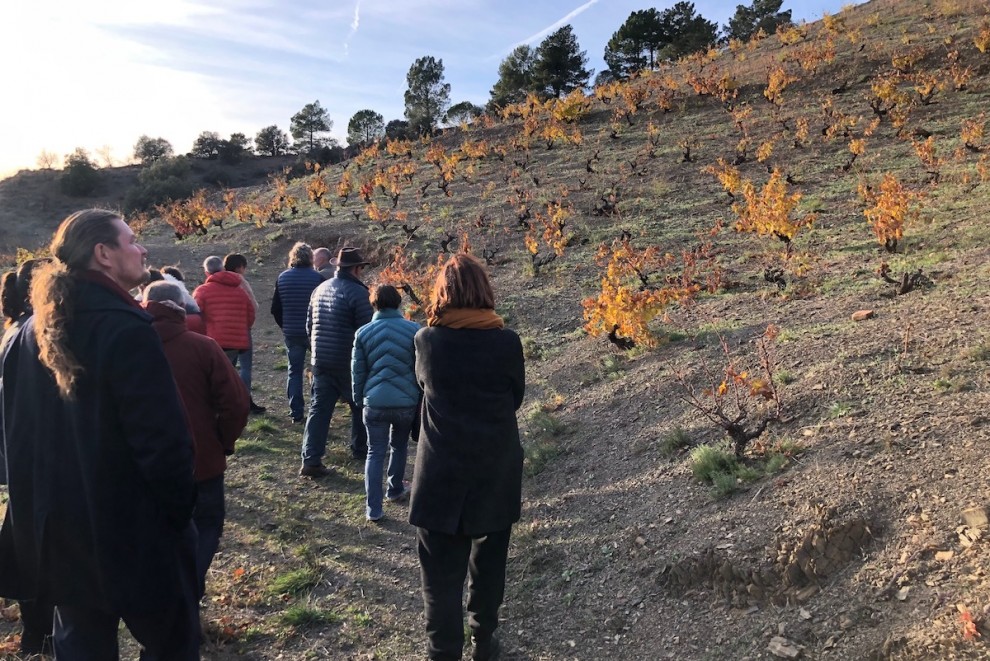 Vinaters del Pallars visitant una vinya a la comarca del Priorat