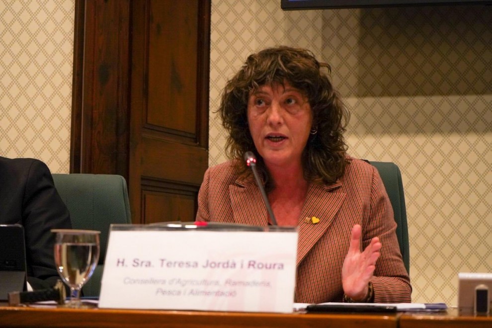 Pla mitjà de la consellera d'Agricultura, Teresa Jordà