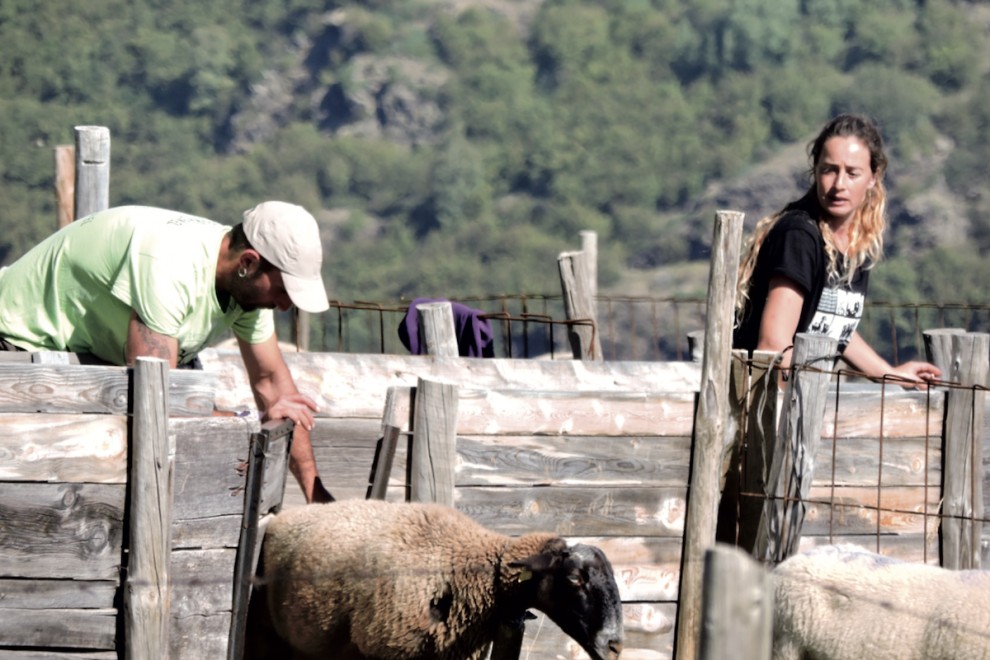 Anna Plana exerceix de pastora a la Vall d’Àssua