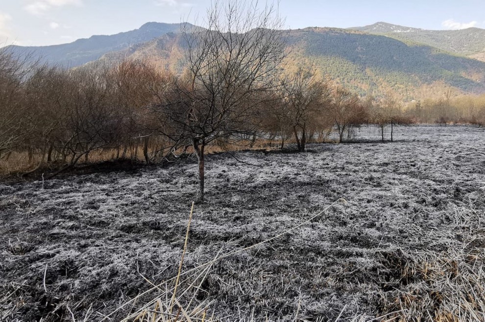 Les flames han afectat unes 4 hectàrees de la Mollera d’Escalarre
