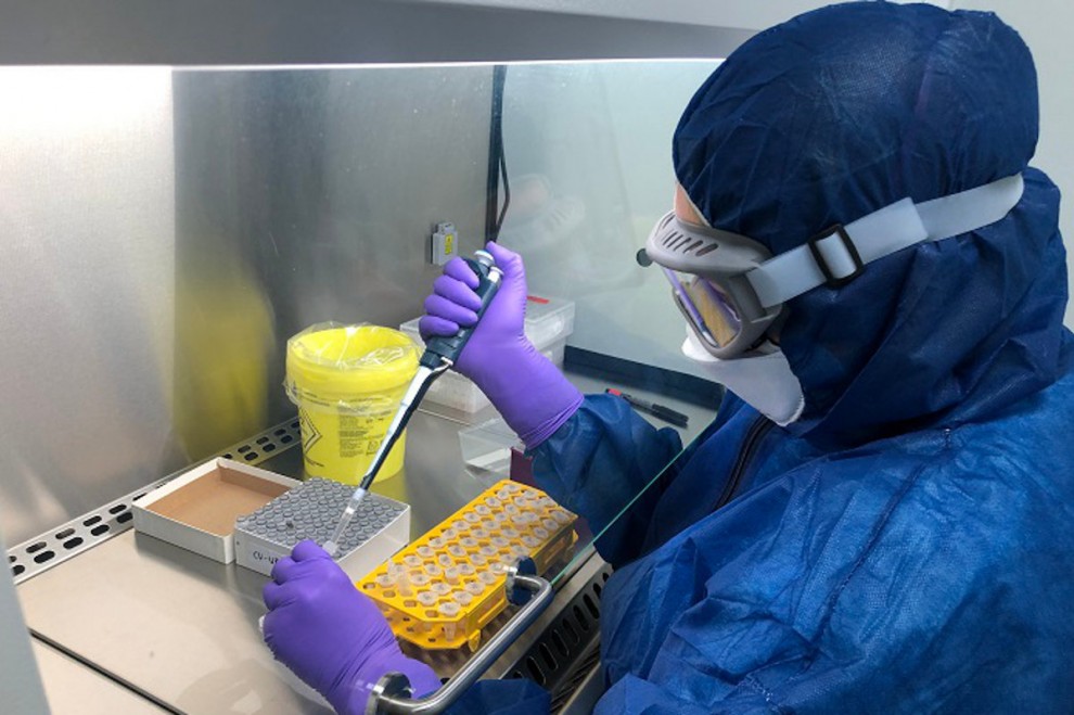 Pla mitjà d'una treballadora analitzant una mostra de PCR en el laboratori.