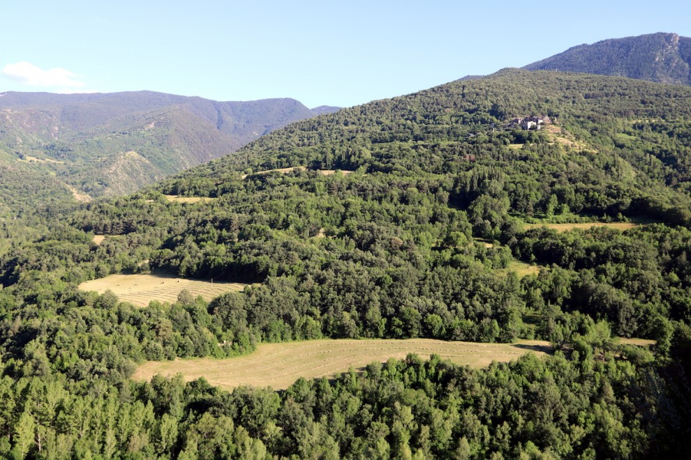 Paisatge de prats de dall a la Coma de Burg, dins el Parc Natural de l'Alt Pirineu.