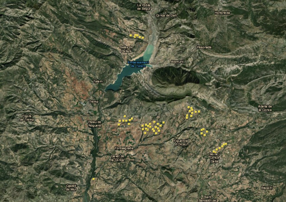 Visor de les plaques solars projectades, fins ara, al Pallars Jussà