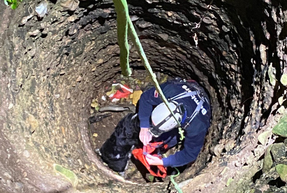 Imatge del rescat del gos caigut al fons del pou