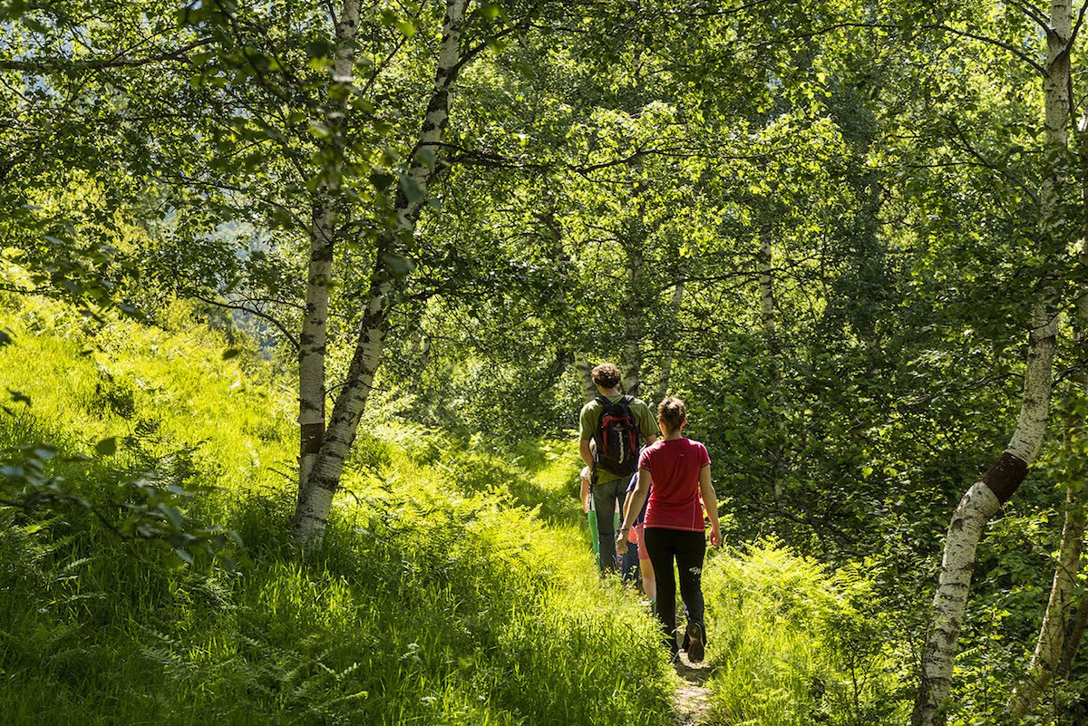 Dos persones caminant per un sender del Parc Natural de l’Alt Pirineu