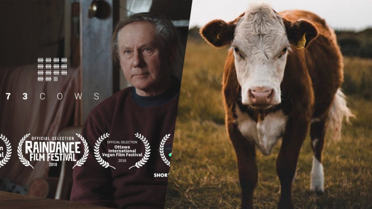 El documental vegà '73 Cows' és un dels més destacats de la mostra