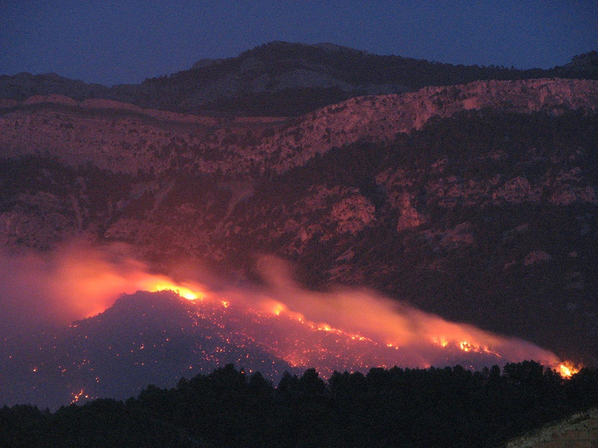 Les flames de l’incendi d’Horta de Sant Joan, el 2009