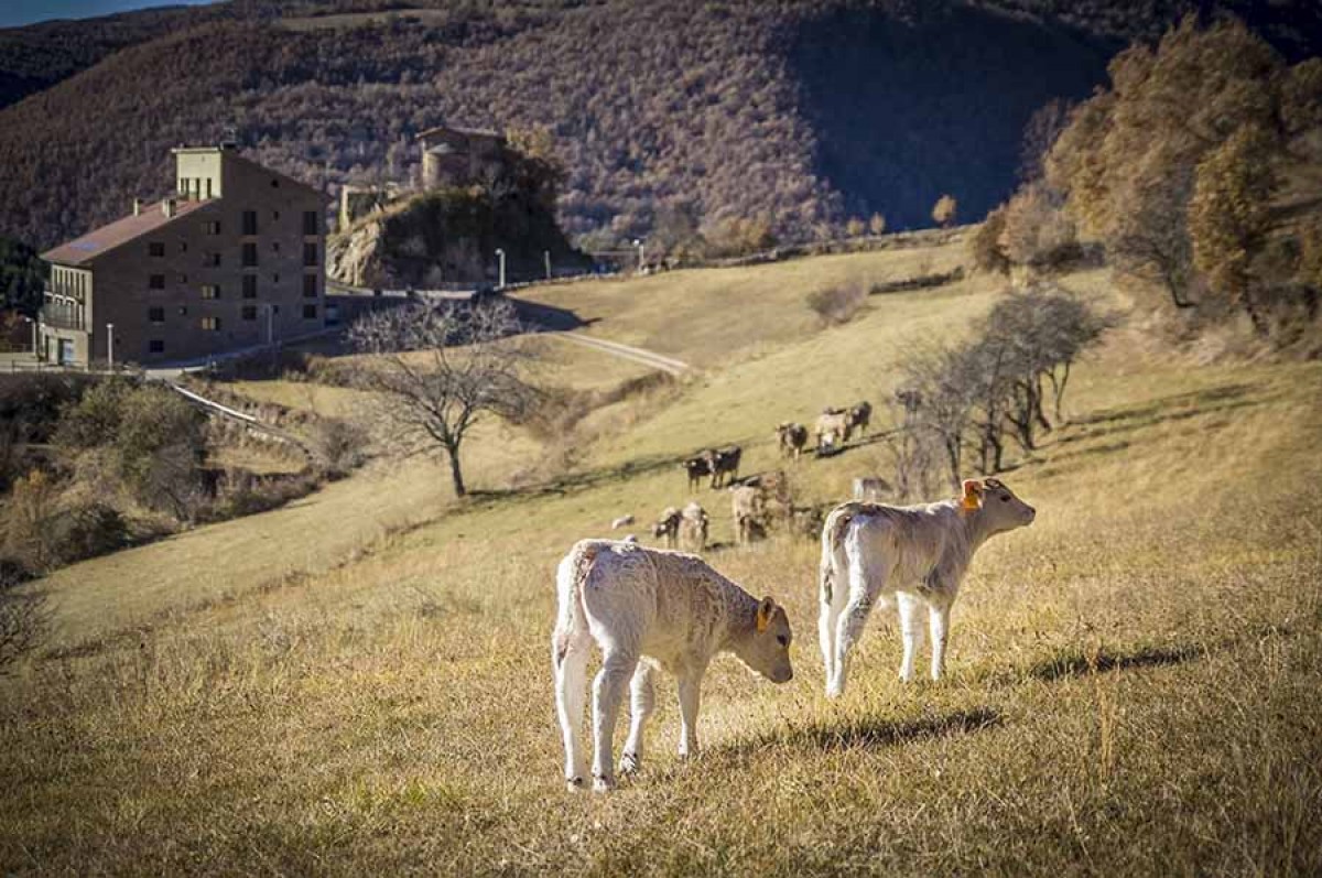 Casa Masover, una de les explotacions del Pallars que participen al Benvinguts a Pagès