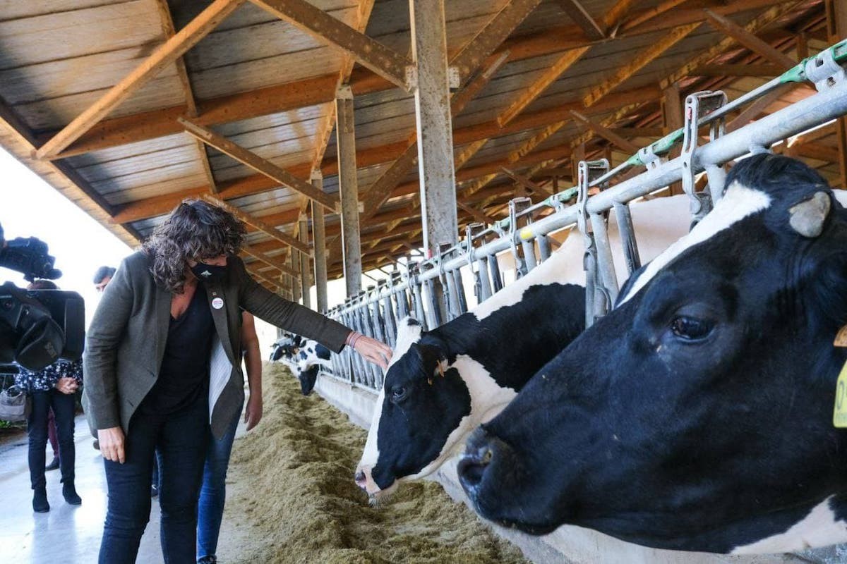 La consellera Teresa Jordà visitant una granja