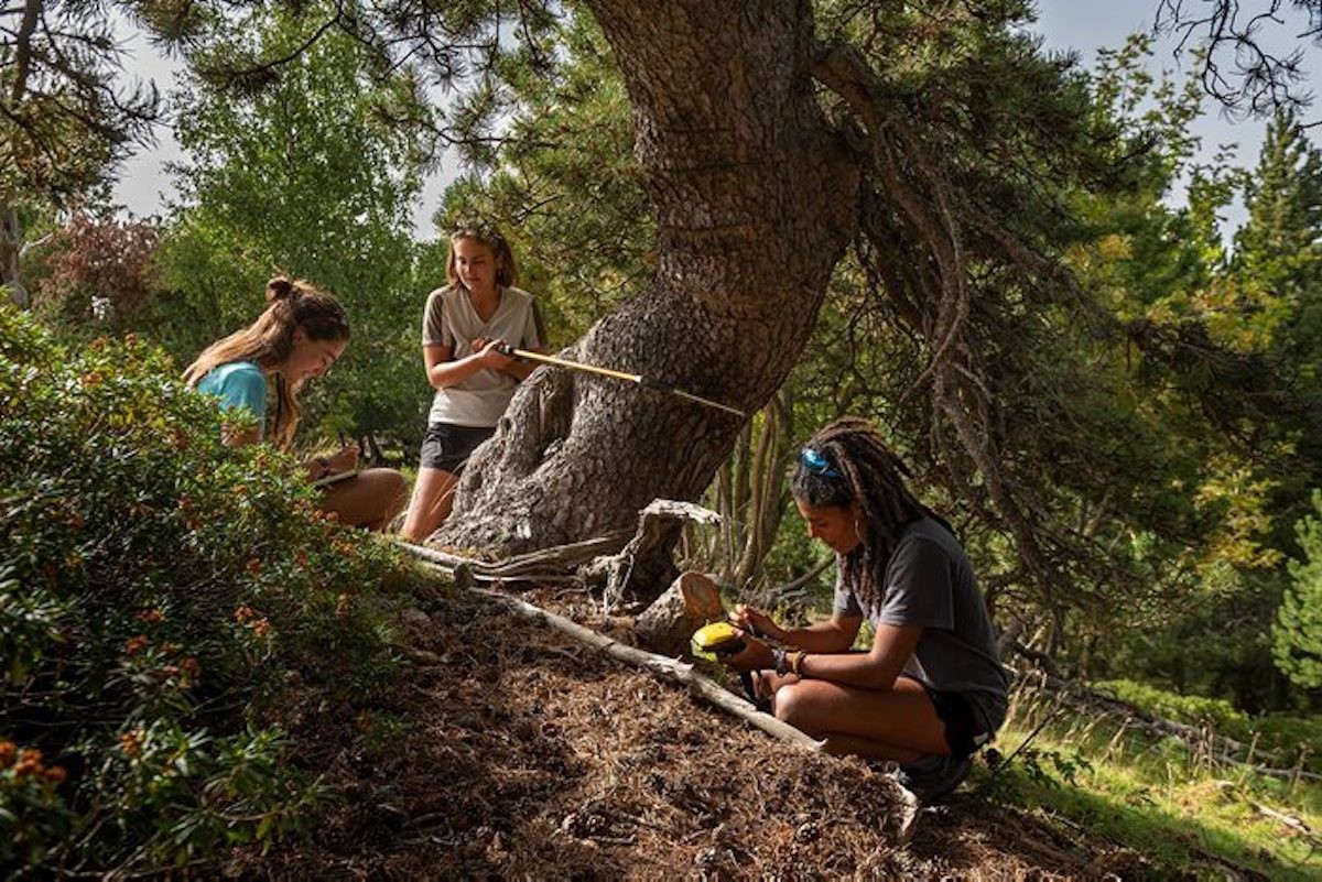 Unes estudiants i investigadores realitzant treball de camp al Parc Natural