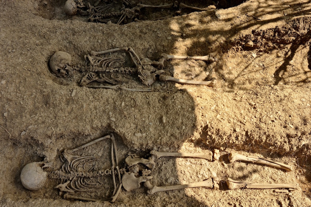 Tres dels cossos trobats a la fossa comuna