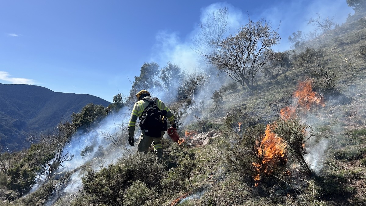 Un membre del GEPIF cremant arbustos a la muntanya de Montardit