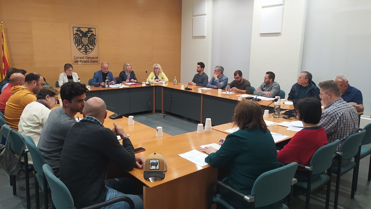 Ple del Consell Comarcal del Pallars Jussà celebrat aquest dimarts