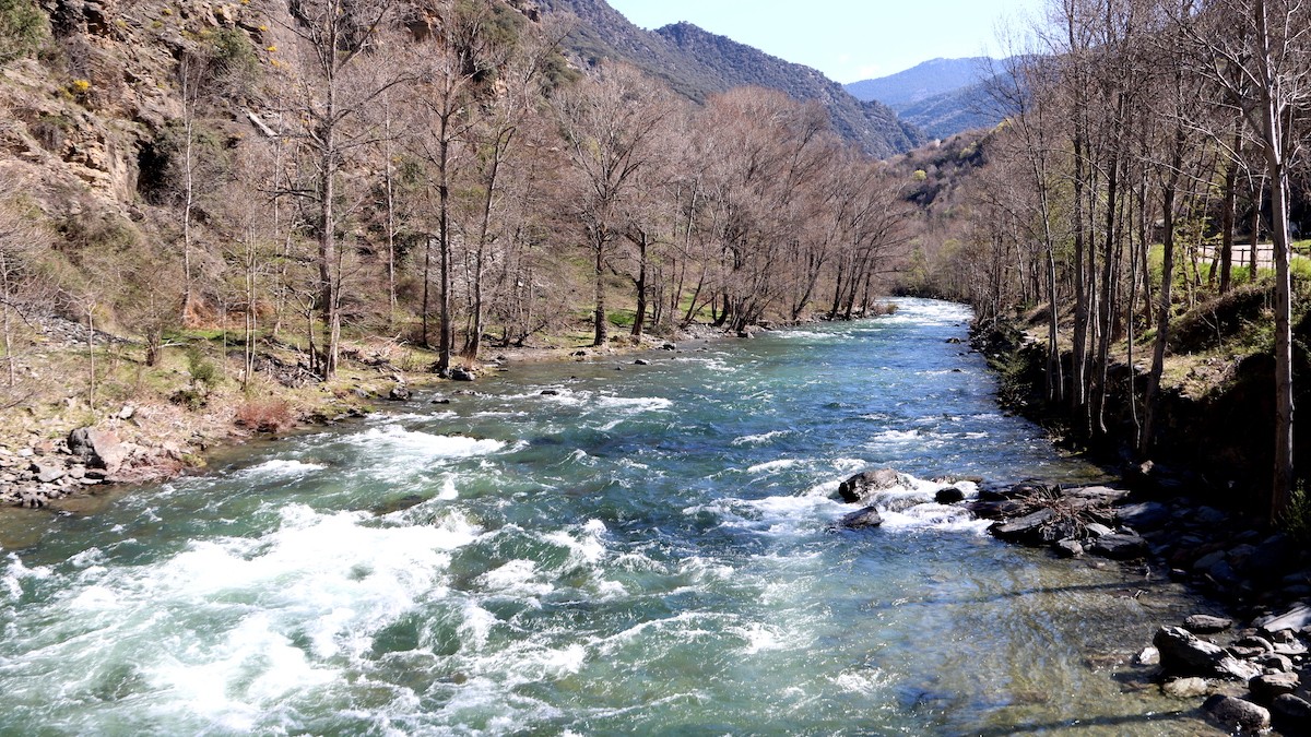 El riu Noguera Pallaresa, en imatge d'arxiu