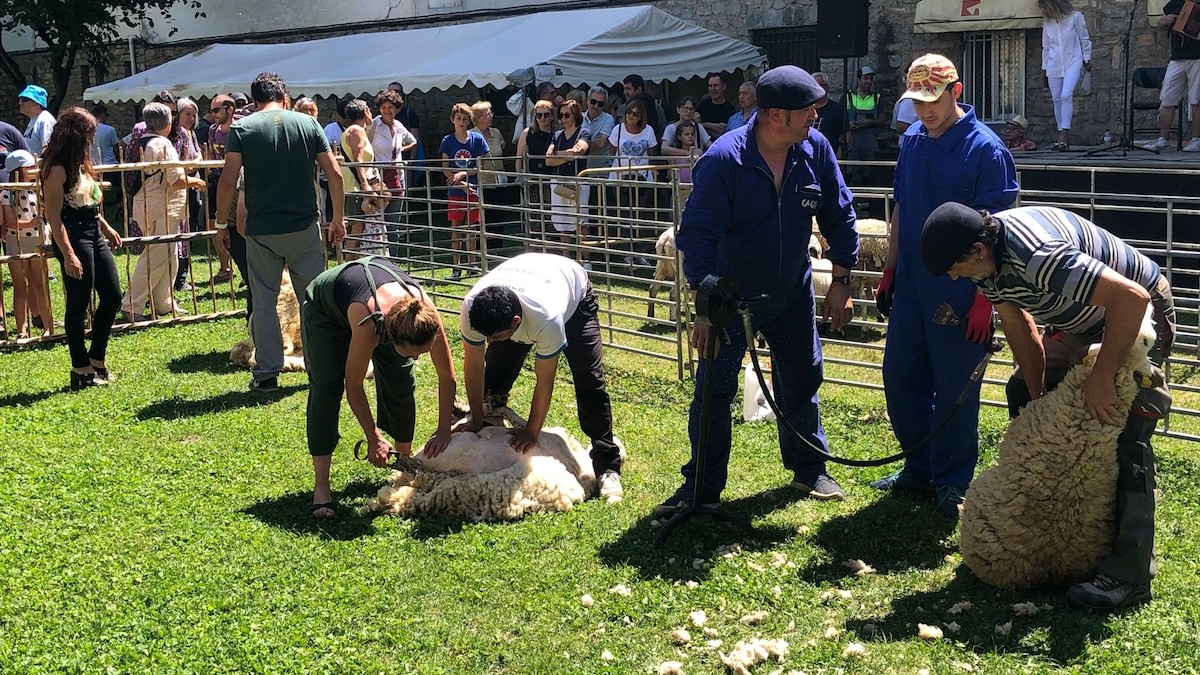 La Xollada tindrà lloc al Parc del Riuet de Sort