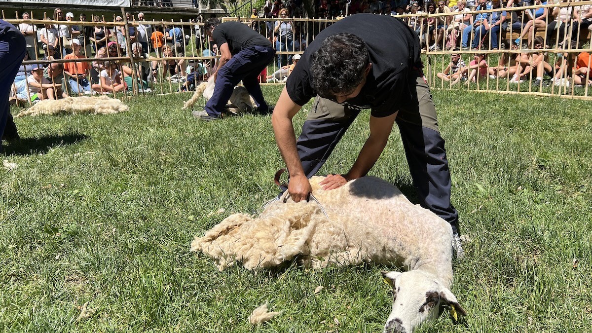 Una xollador fent una demostració de l'antic ofici