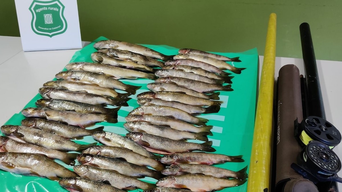 Les truites i estris de pesca comissats pels rurals