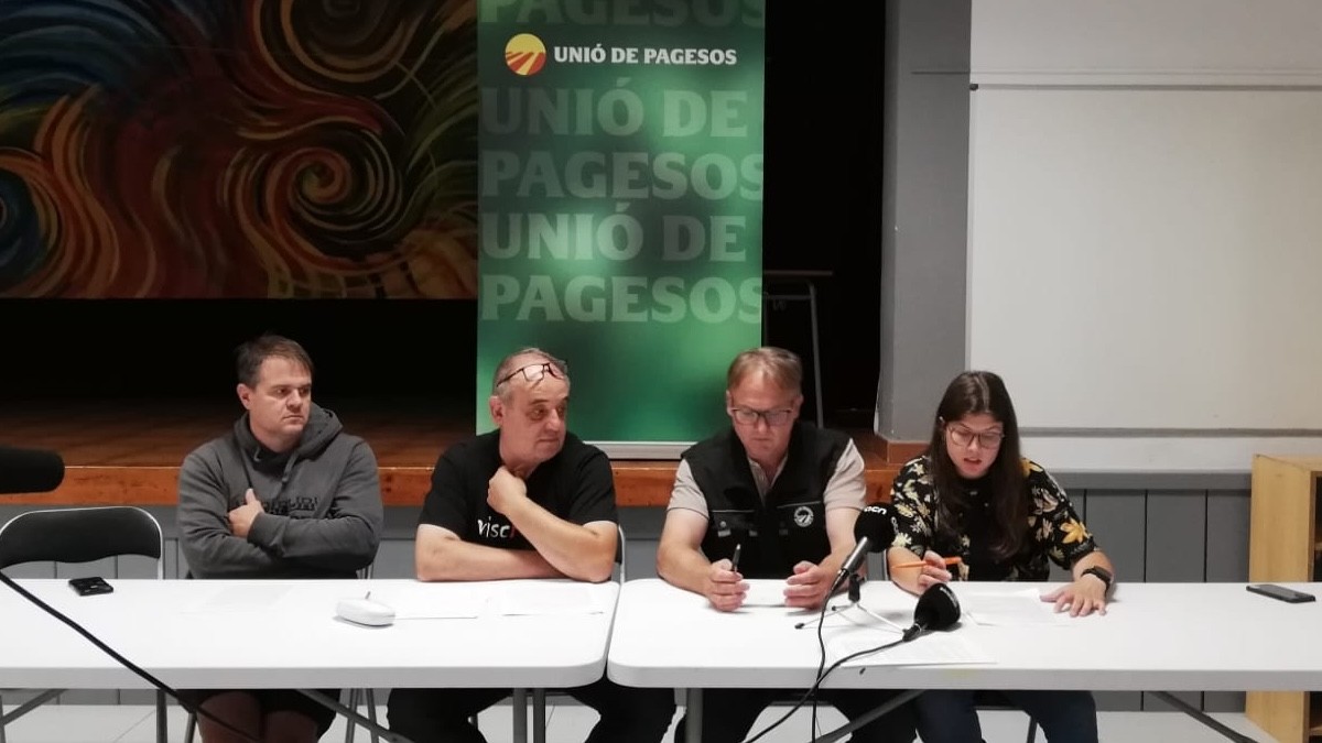 Imatge de la roda de premsa a la sala de plens de l'Ajuntament d'Alins