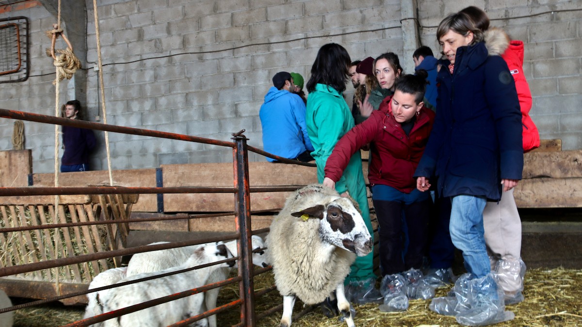 Membres de l'Escola de Pastors en una visita en una granja d'Enviny