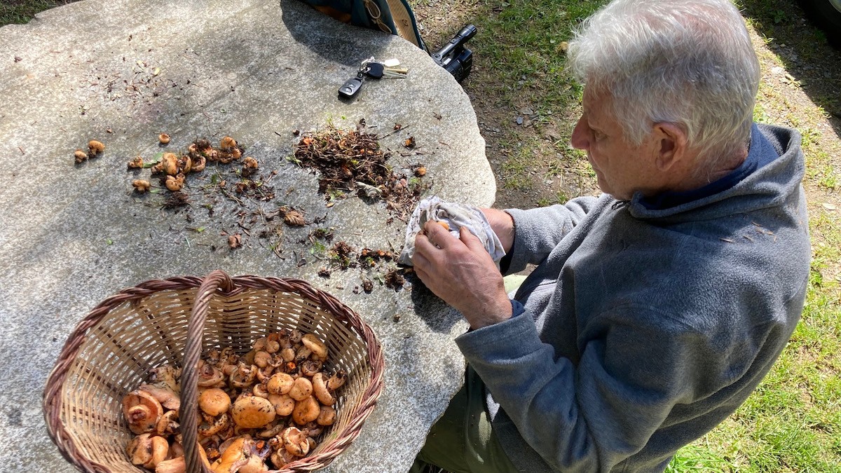 Pla general d'un home netejant els bolets