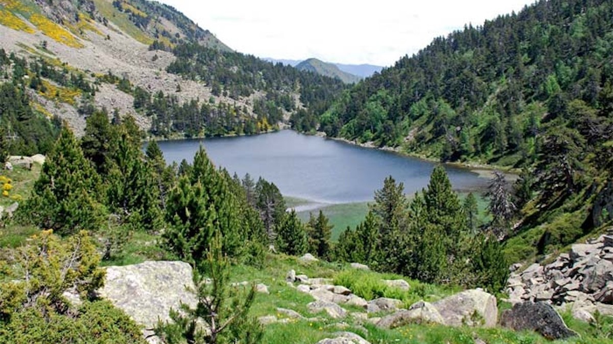 L'estany del Rosari d'Àrreu