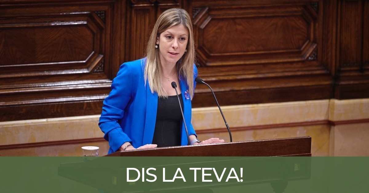 Jeannine Abella intervenint al Parlament, en una imatge d'arxiu