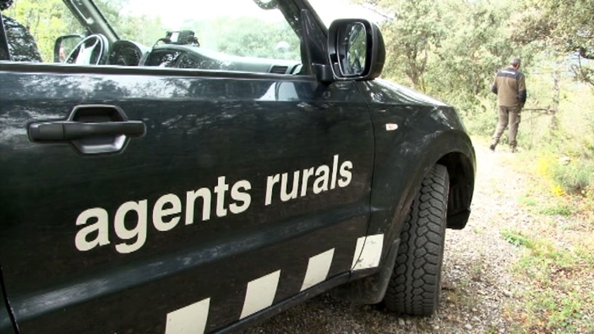 Un control dels Agents Rurals al municipi de Soriguera
