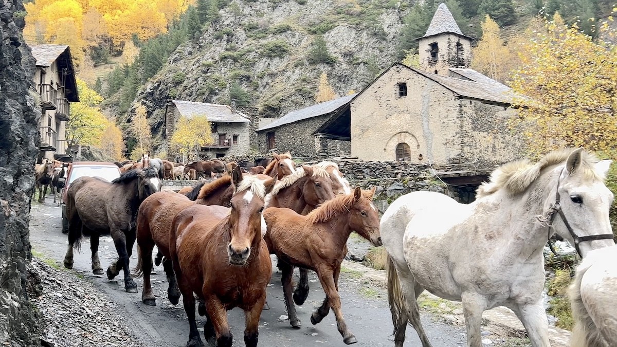 Els cavalls passant pel poble de Tor