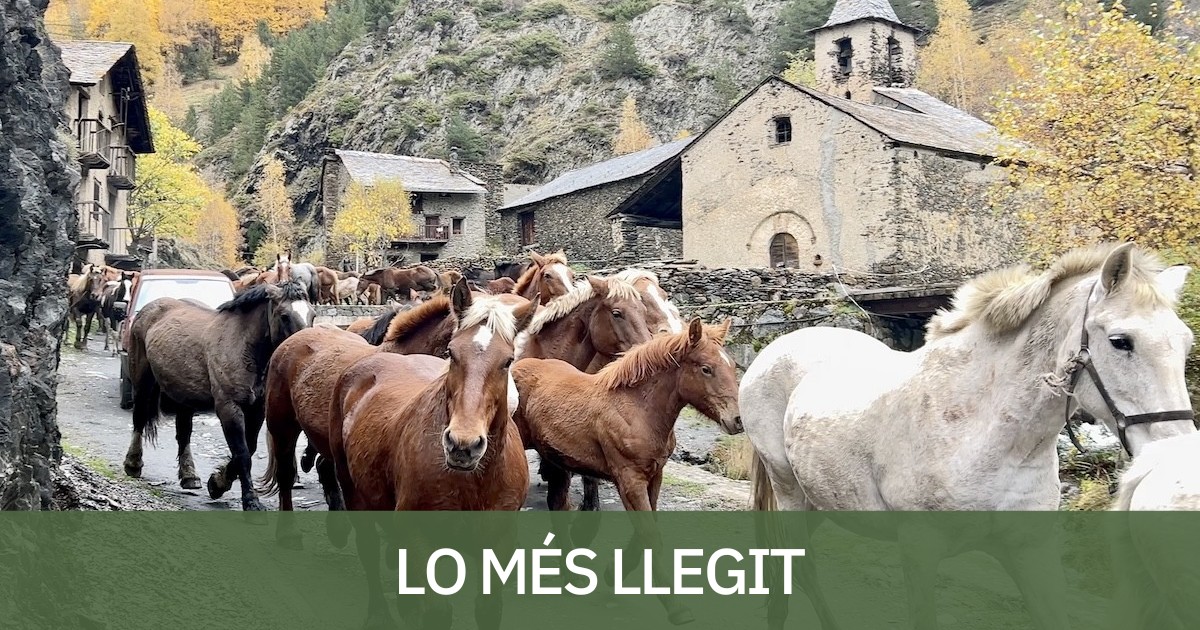 Els cavalls de Casa Palanca partint de Tor per iniciar la transhumància