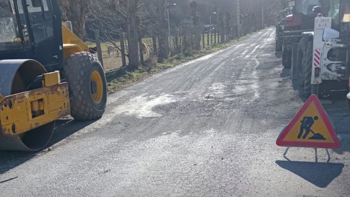 El camí de les Vernedes de Sort