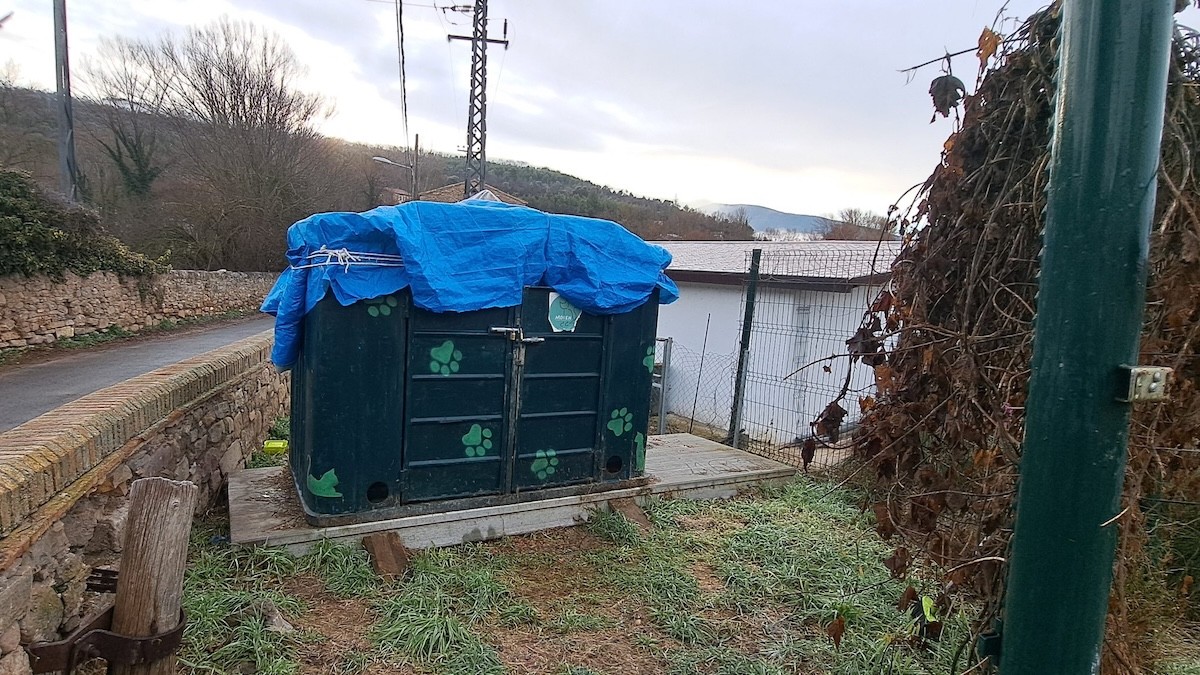 Un refugi de gats a la Pobla